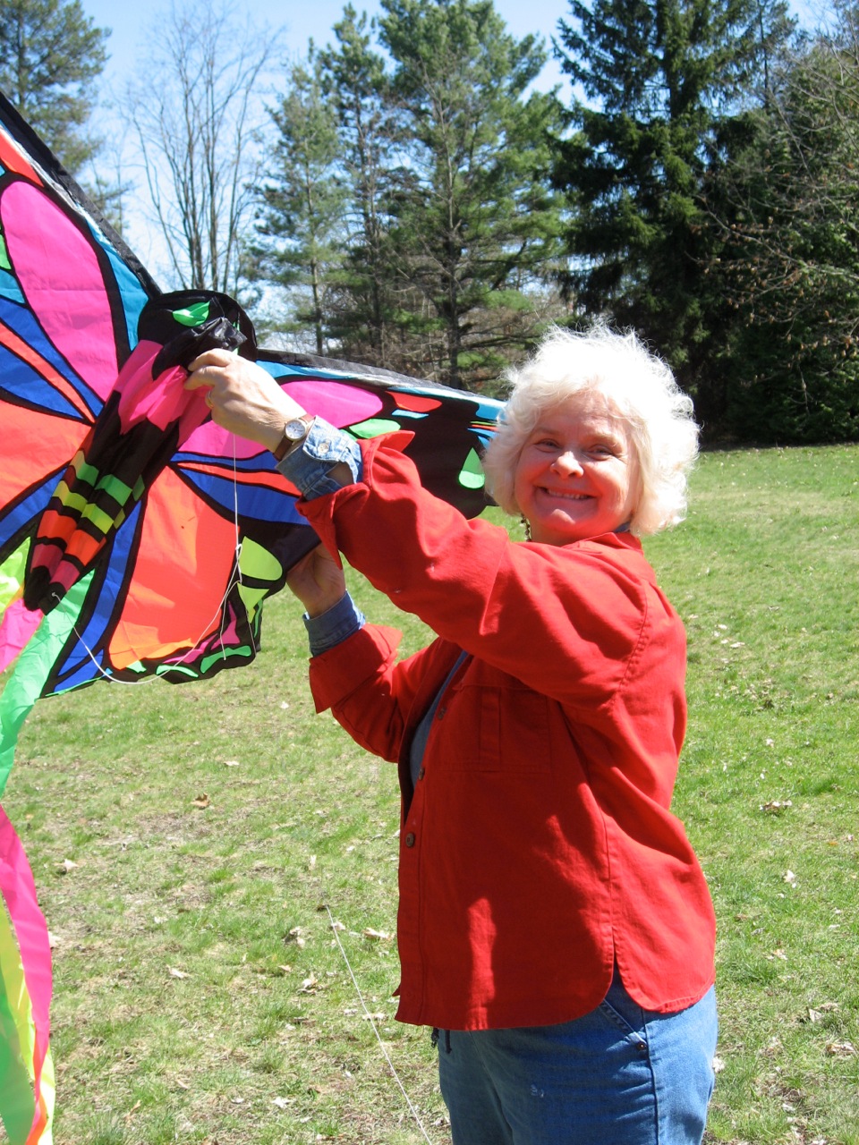 Butterfly kite